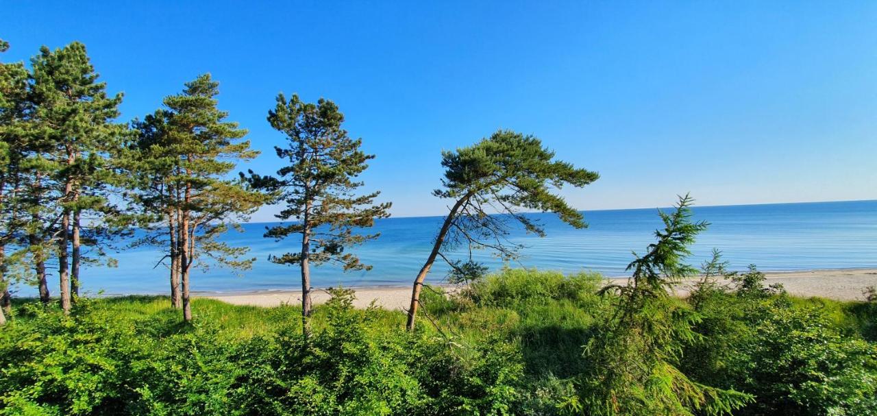 Golden Pearl Apartment Gaski (Koszalin)